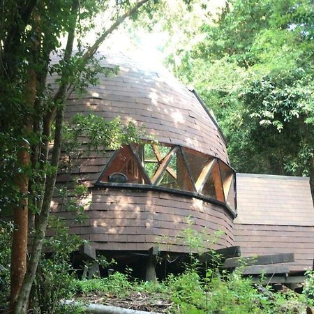 Domos Hijos Del Bosque Apartman Coñaripe Kültér fotó