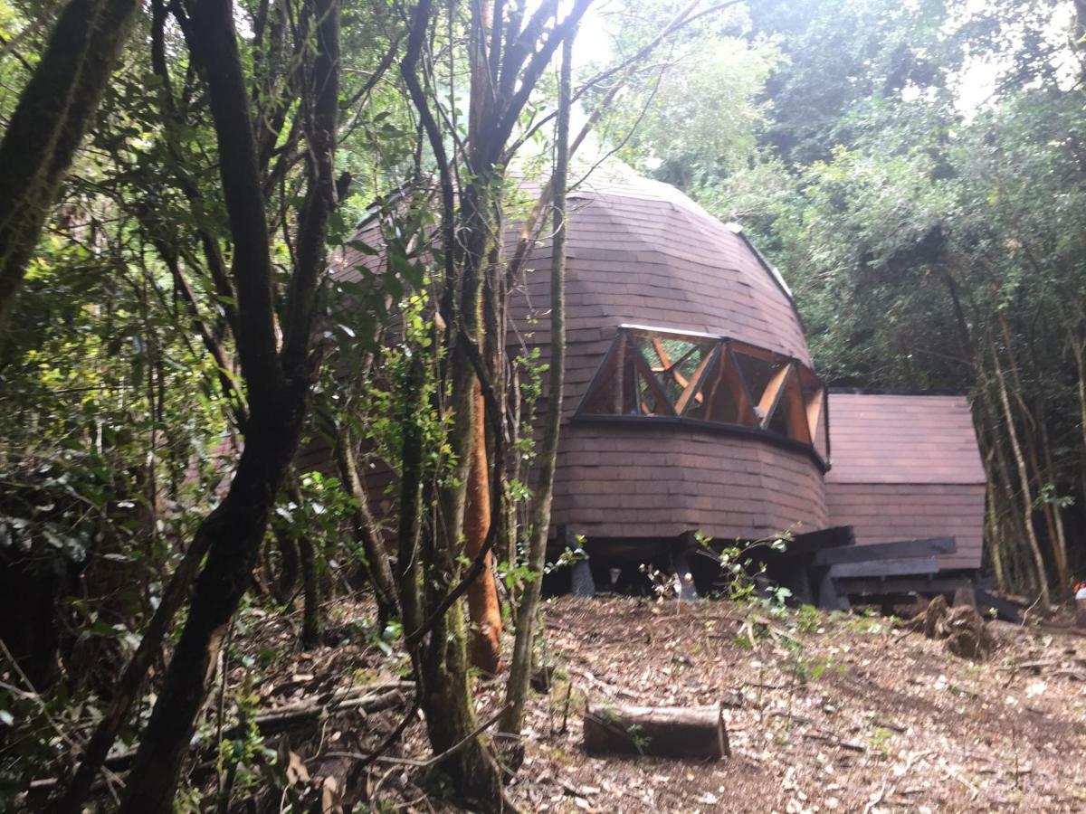Domos Hijos Del Bosque Apartman Coñaripe Kültér fotó